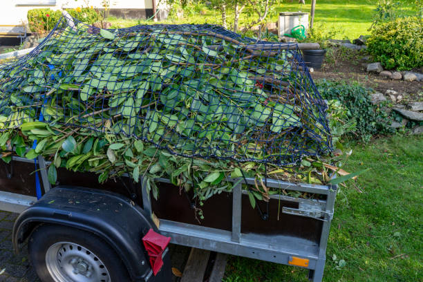 Best Yard Waste Removal  in Wolcott, IN